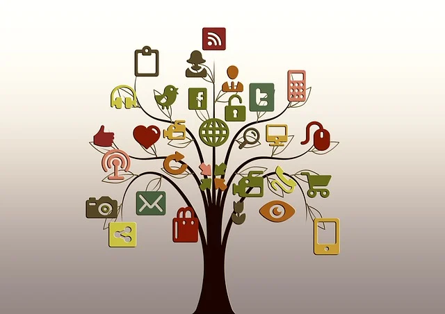 Mastering Social Media Algorithms in 2025: A Guide for Small Businesses