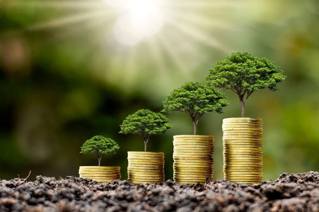 “Blending Green Values with Digital Marketing for Sustainable Success”