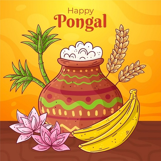 Pongal and New Year: A Celebration of Harvest and New Beginnings