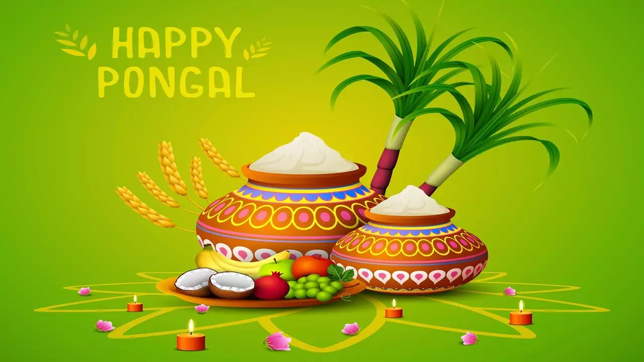 Traditional Pongal Greetings: How to Wish Your Loved Ones a Joyous Festival