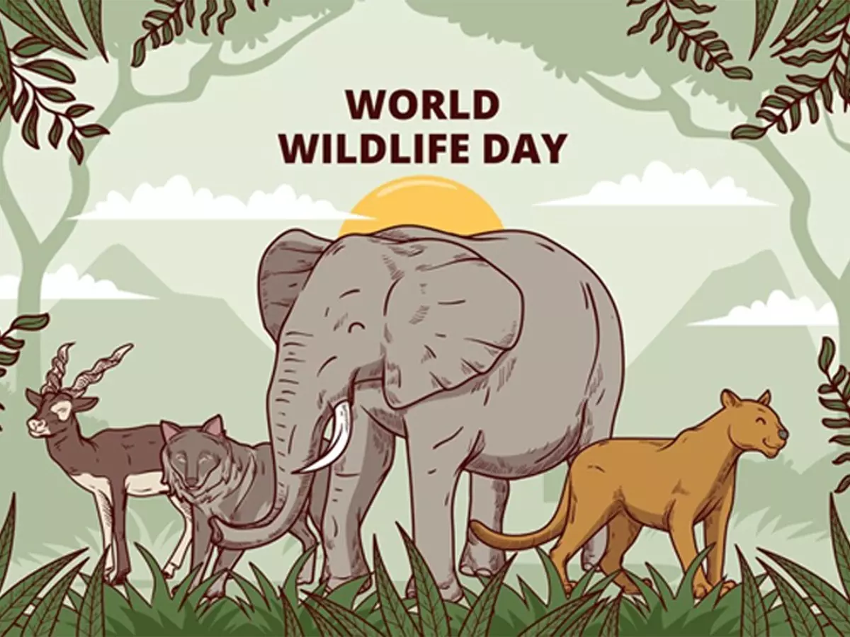 10 Endangered Species That Need Our Help This World Wildlife Day