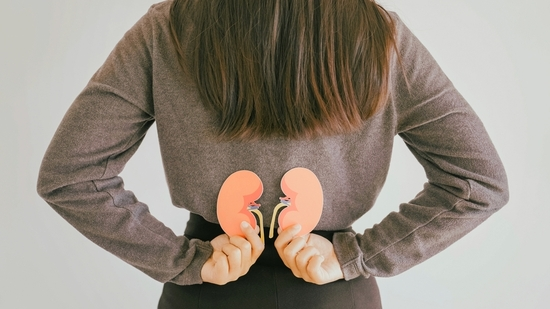 Kidney Health Explained: Causes, Signs, and How to Prevent Disease
