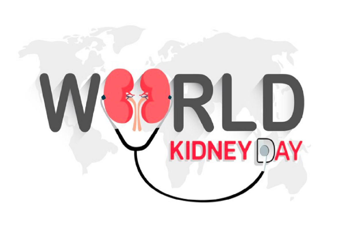 Hydration and Kidney Health: How Much Water Do You Really Need?