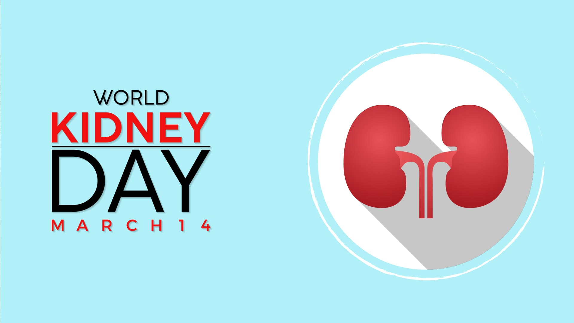 Kidney Health and Diabetes: What You Need to Know