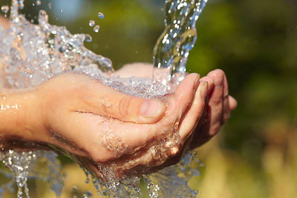 Simple Ways to Conserve Water in Daily Life