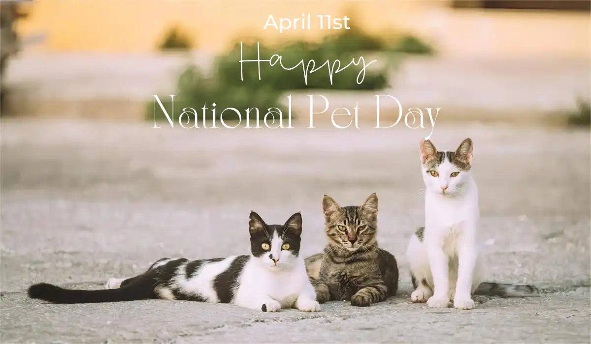 Adopting Is Caring: The True Spirit of National Pet Day”