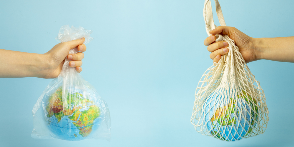 Plastic Bag Pollution: Shocking Facts You Need to Know