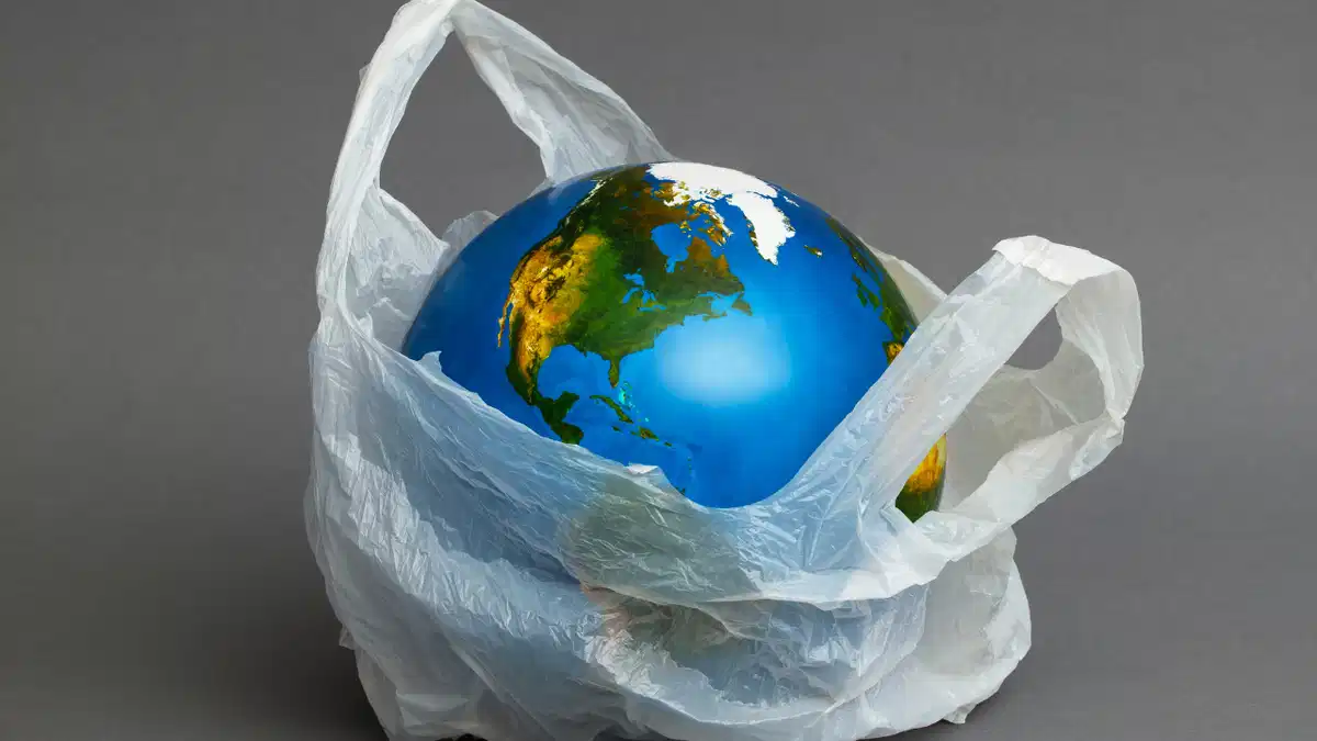 How Businesses Can Embrace Plastic Bag-Free Practices