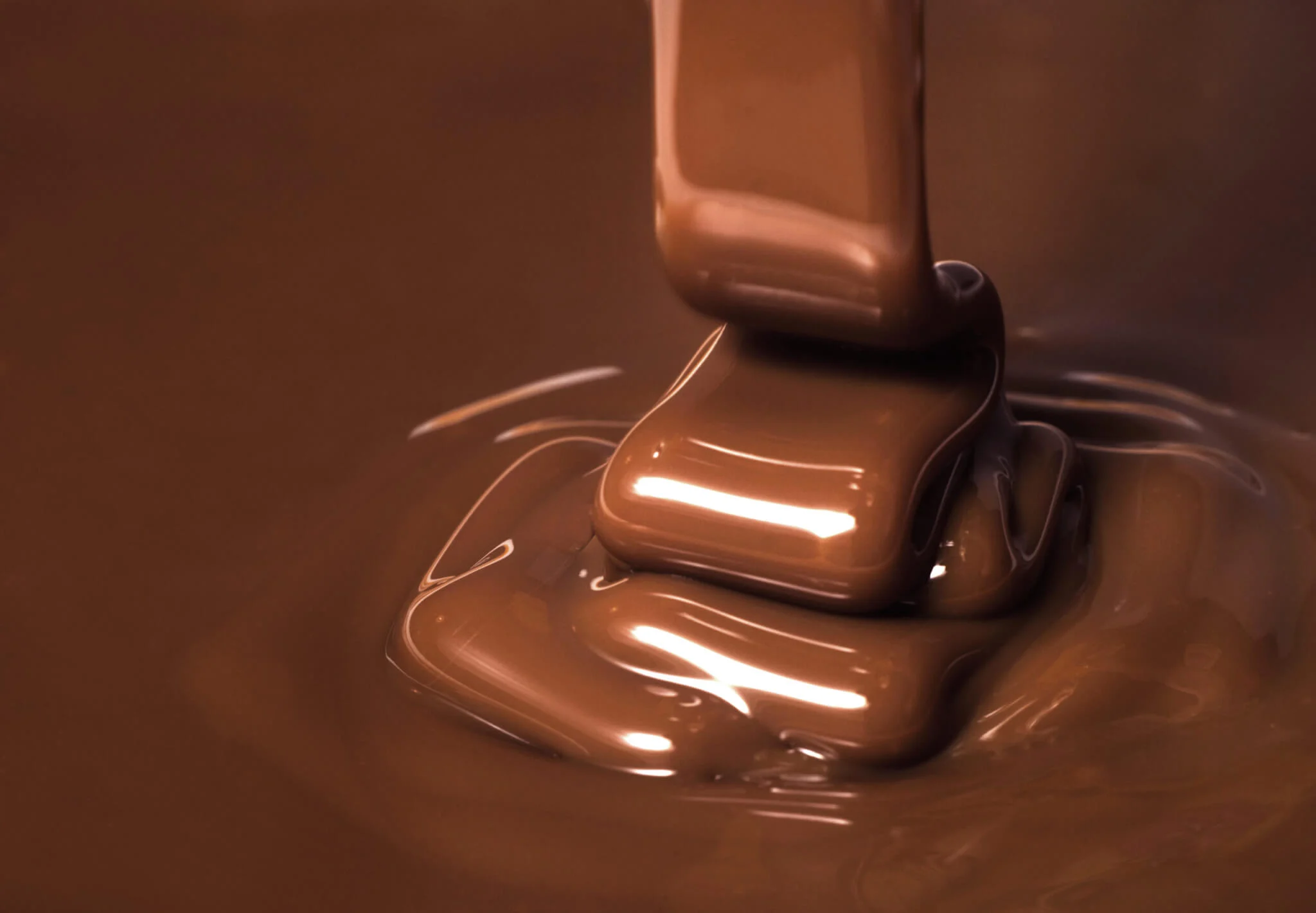 Savoring Syntax and Sweets: A Festive Fusion of Grammar Fun and Chocolate Cheer