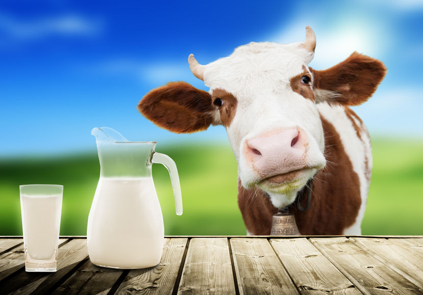 Creative Recipes to Celebrate World Milk Day