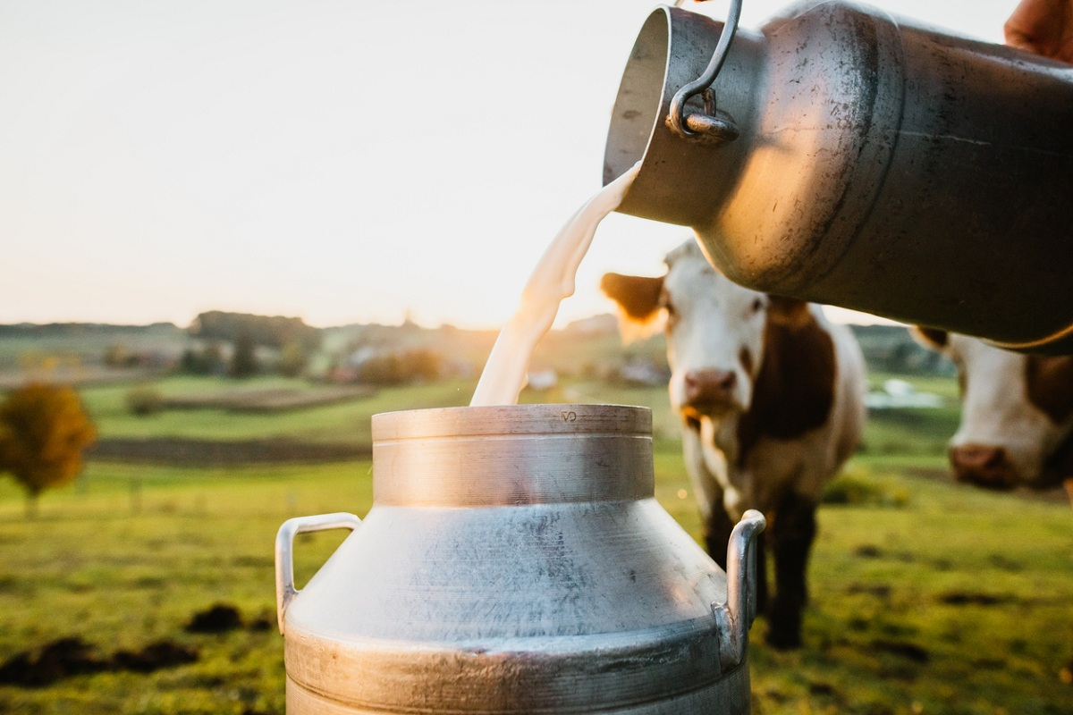 World Milk Day Through the Years: Why It Matters More Than Ever